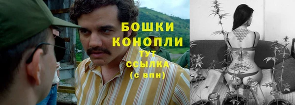 стаф Верхний Тагил