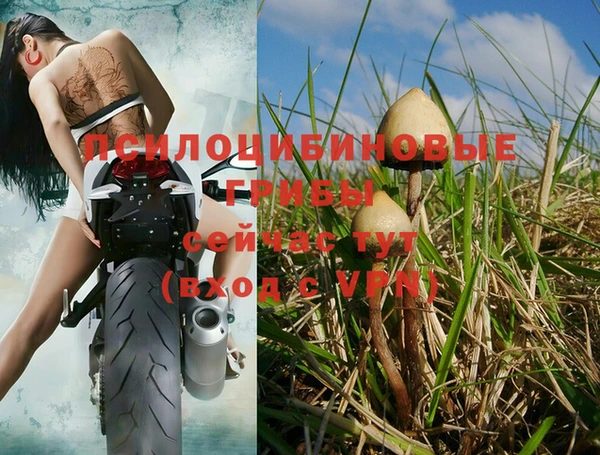 стаф Верхний Тагил